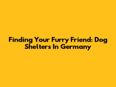 Finding Your Furry Friend: Dog Shelters In Germany
