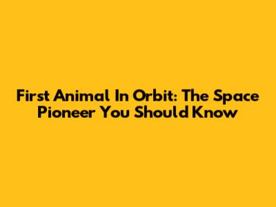 First Animal In Orbit: The Space Pioneer You Should Know