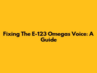 Fixing The E-123 Omega's Voice: A Guide