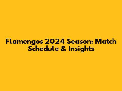 Flamengo's 2024 Season: Match Schedule & Insights