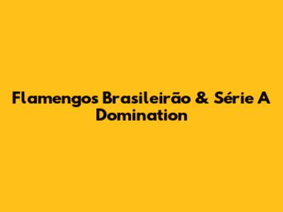 Flamengo's Brasileirão & Série A Domination