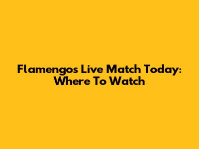 Flamengo's Live Match Today: Where To Watch