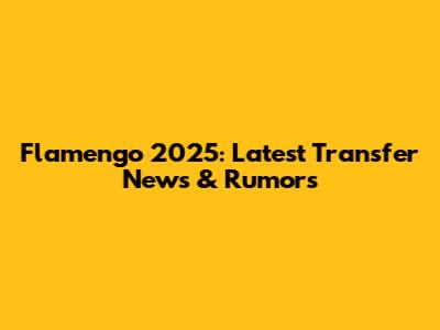 Flamengo 2025: Latest Transfer News & Rumors