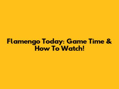 Flamengo Today: Game Time & How To Watch!
