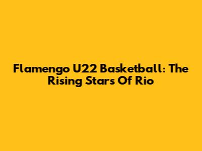 Flamengo U22 Basketball: The Rising Stars Of Rio