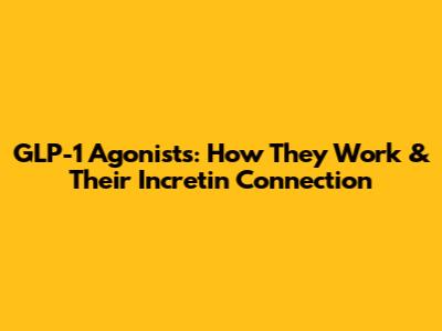 GLP-1 Agonists: How They Work & Their Incretin Connection