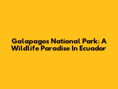 Galapagos National Park: A Wildlife Paradise In Ecuador