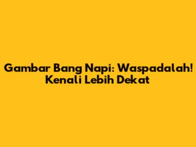 Gambar Bang Napi: Waspadalah! Kenali Lebih Dekat
