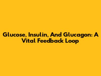 Glucose, Insulin, And Glucagon: A Vital Feedback Loop