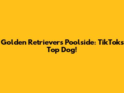Golden Retrievers Poolside: TikTok's Top Dog!