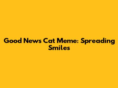 Good News Cat Meme: Spreading Smiles