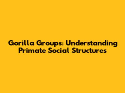 Gorilla Groups: Understanding Primate Social Structures