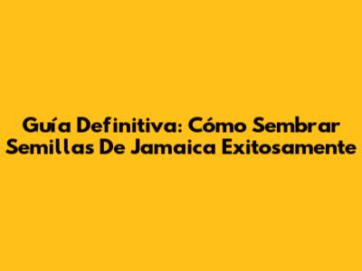 Guía Definitiva: Cómo Sembrar Semillas De Jamaica Exitosamente