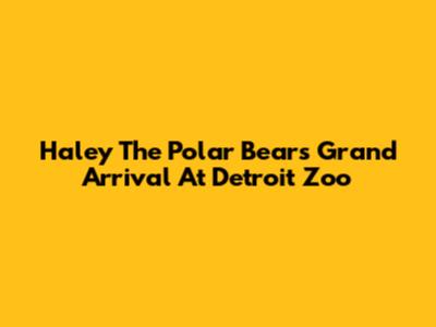 Haley The Polar Bear's Grand Arrival At Detroit Zoo