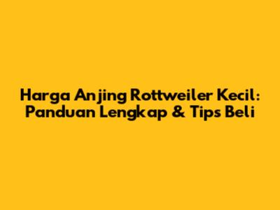 Harga Anjing Rottweiler Kecil: Panduan Lengkap & Tips Beli
