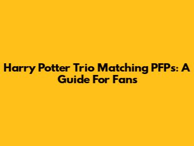 Harry Potter Trio Matching PFPs: A Guide For Fans