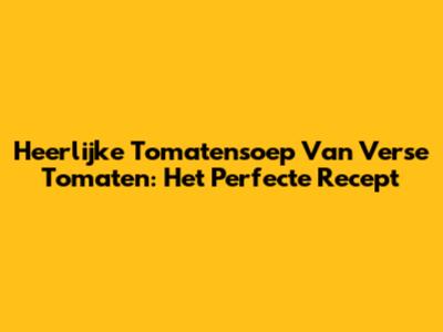 Heerlijke Tomatensoep Van Verse Tomaten: Het Perfecte Recept