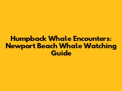 Humpback Whale Encounters: Newport Beach Whale Watching Guide
