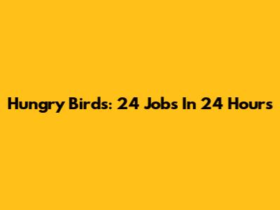 Hungry Birds: 24 Jobs In 24 Hours