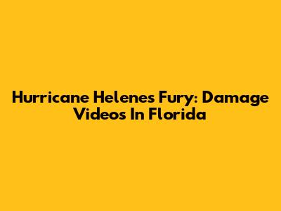 Hurricane Helene's Fury: Damage Videos In Florida