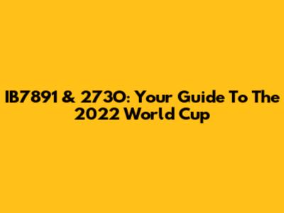 IB7891 & 273O: Your Guide To The 2022 World Cup