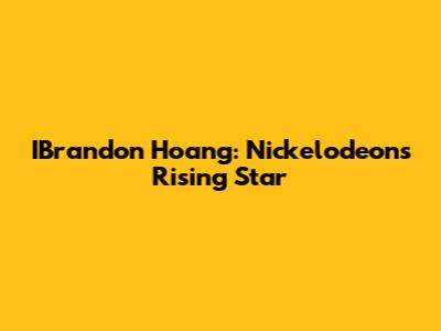 IBrandon Hoang: Nickelodeon's Rising Star