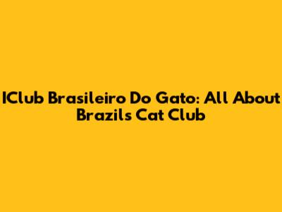 IClub Brasileiro Do Gato: All About Brazil's Cat Club