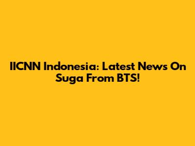 IICNN Indonesia: Latest News On Suga From BTS!