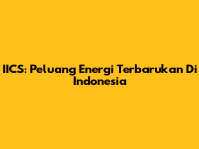 IICS: Peluang Energi Terbarukan Di Indonesia