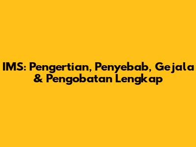 IMS: Pengertian, Penyebab, Gejala & Pengobatan Lengkap