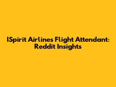 ISpirit Airlines Flight Attendant: Reddit Insights