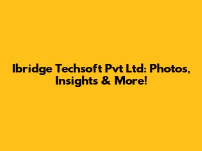 Ibridge Techsoft Pvt Ltd: Photos, Insights & More!