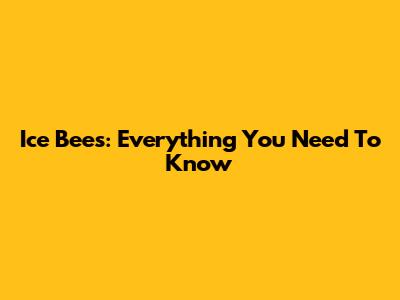 Ice Bees: Everything You Need To Know