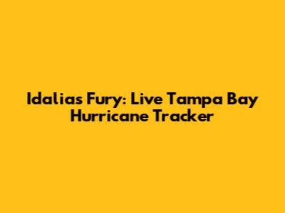 Idalia's Fury: Live Tampa Bay Hurricane Tracker