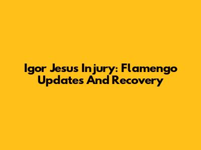 Igor Jesus Injury: Flamengo Updates And Recovery