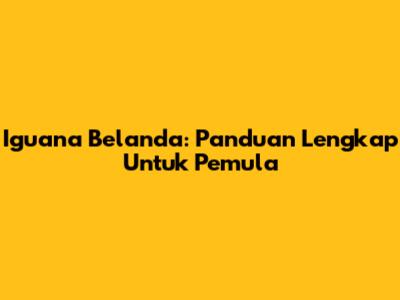 Iguana Belanda: Panduan Lengkap Untuk Pemula