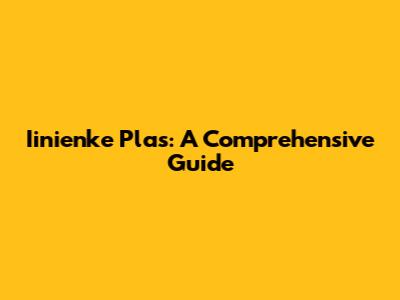 Iinienke Plas: A Comprehensive Guide