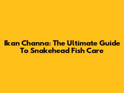 Ikan Channa: The Ultimate Guide To Snakehead Fish Care