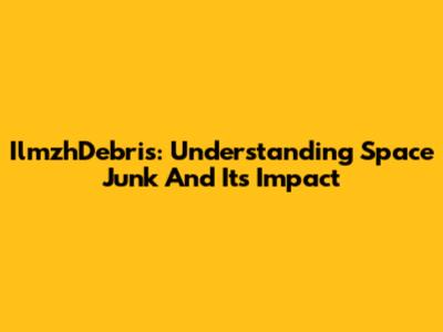 IlmzhDebris: Understanding Space Junk And Its Impact