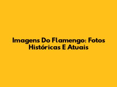 Imagens Do Flamengo: Fotos Históricas E Atuais