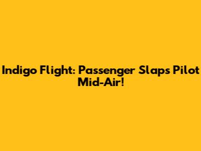 Indigo Flight: Passenger Slaps Pilot Mid-Air!