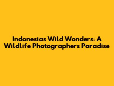 Indonesia's Wild Wonders: A Wildlife Photographer's Paradise
