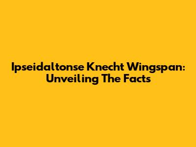 Ipseidaltonse Knecht Wingspan: Unveiling The Facts