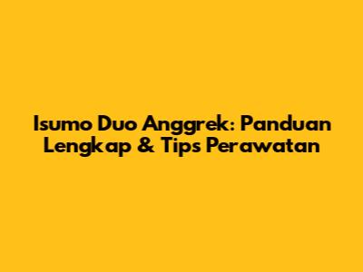 Isumo Duo Anggrek: Panduan Lengkap & Tips Perawatan
