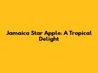 Jamaica Star Apple: A Tropical Delight