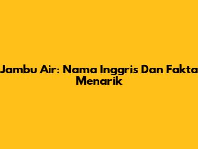Jambu Air: Nama Inggris Dan Fakta Menarik