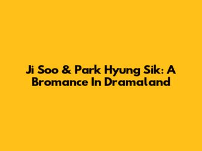 Ji Soo & Park Hyung Sik: A Bromance In Dramaland