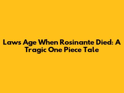 Law's Age When Rosinante Died: A Tragic One Piece Tale