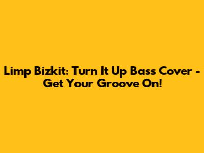 Limp Bizkit: Turn It Up Bass Cover - Get Your Groove On!