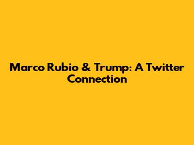 Marco Rubio & Trump: A Twitter Connection